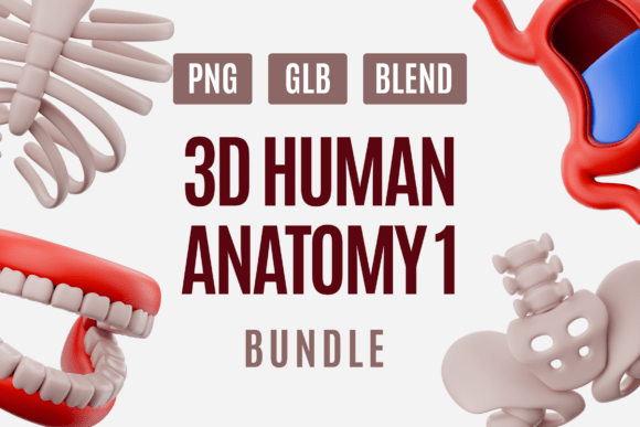 Unlocking Biological Insight with the Human Anatomy 3D Model Pack 01